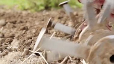 Yavaş çekimde bir motoblock ile toprak çiftçilik