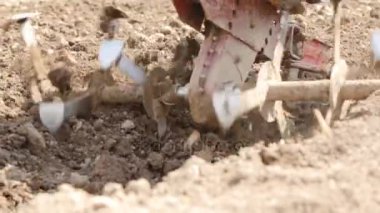 Yavaş çekimde bir motoblock ile toprak çiftçilik