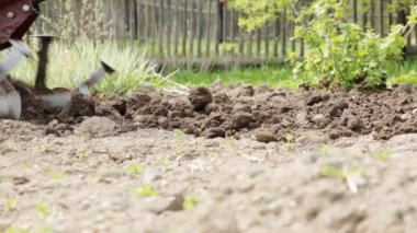 Bir motoblock ile toprak çiftçilik