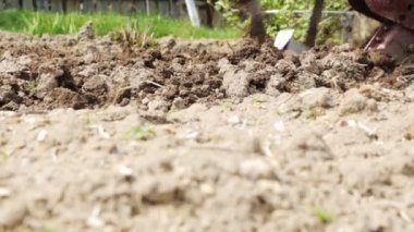 Bir motoblock ile toprak çiftçilik