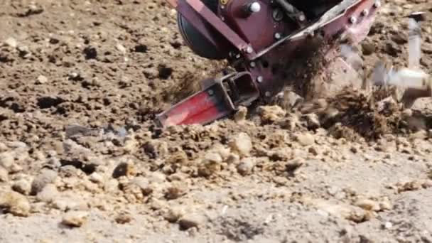 Плуживание почвы мотоблоком в замедленной съемке — стоковое видео