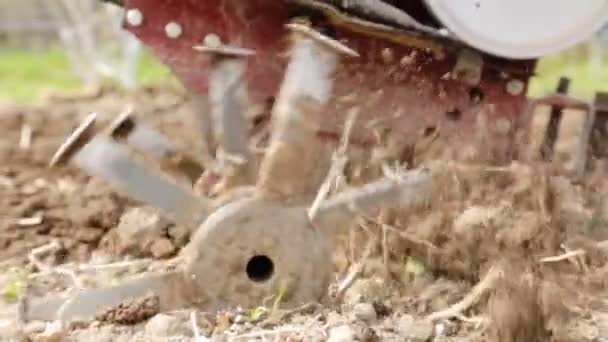 Ploegen van de bodem met een motoblock in slow motion — Stockvideo