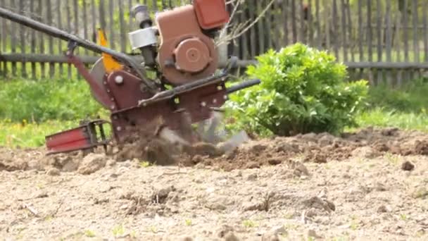 Plowing the soil with a motoblock — Stock Video