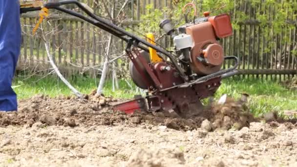 Plowing the soil with a motoblock — Stock Video