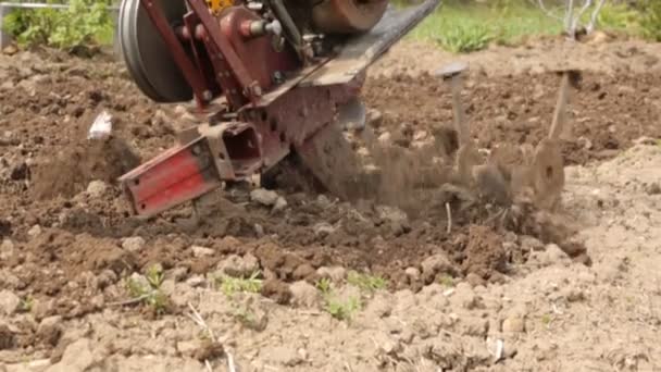 Плуживание почвы мотоблоком в замедленной съемке — стоковое видео