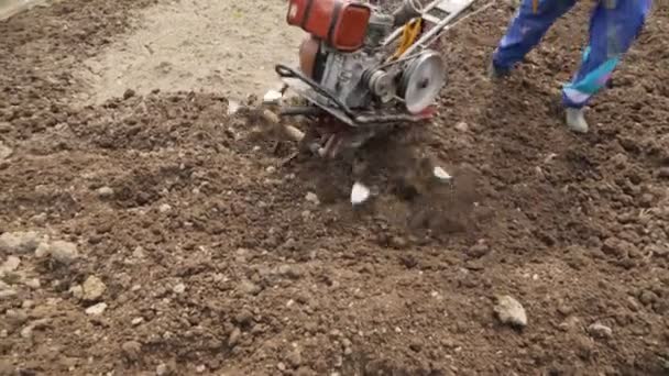 Plowing the soil with a motoblock — Stock Video