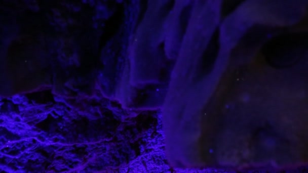 Cueva de hielo Kungur — Vídeo de stock