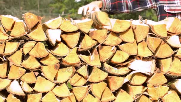 Making pile of logs outdoors — Stock Video