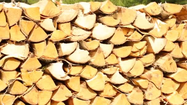 Pile de bois de chauffage dans la cour — Video