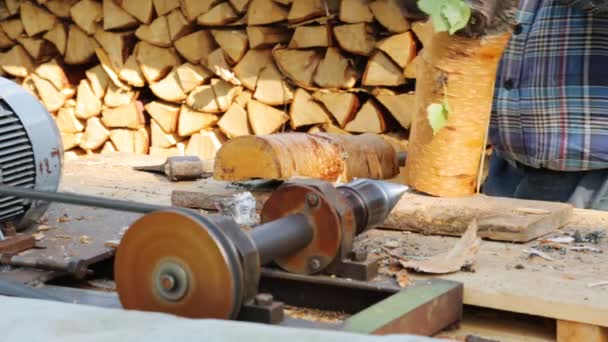 新鲜的桦木劈柴的木材 — 图库视频影像