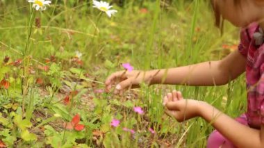 Ormandaki yabani çilek toplama çocuk