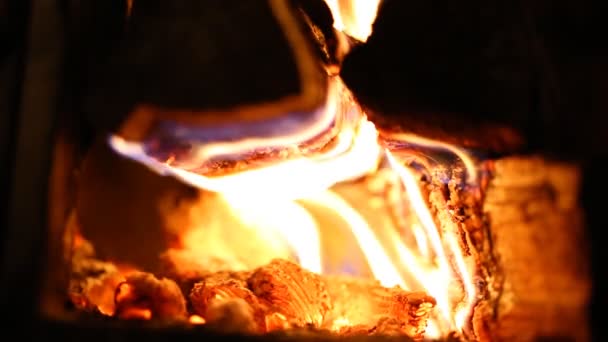 Leña quemada en estufa — Vídeo de stock