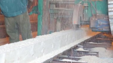 Testere-değirmen ağacında kök testere ile kesme