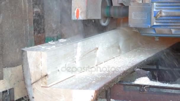 Sawing the stem of the tree in saw-mill — Stock Video