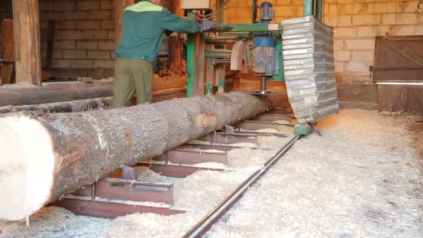 Распиливание ствола дерева в лесопилке — стоковое видео