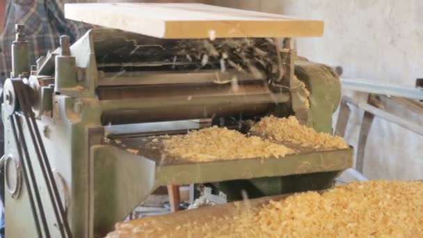 Sacando la viga cuadrada de madera en la máquina — Vídeos de Stock
