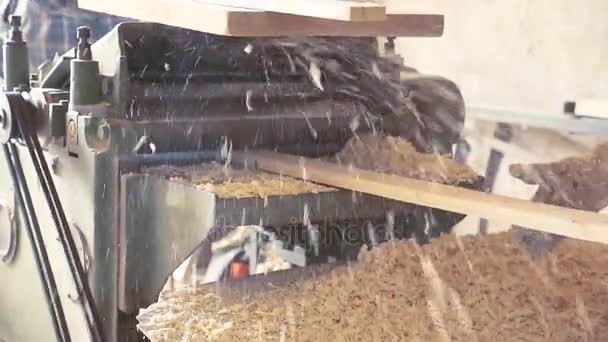 Hoblování dřevěné desky na stroji — Stock video