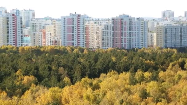 Лес осенью с городом на заднем плане — стоковое видео