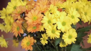 Sarı çiçek closeup demet