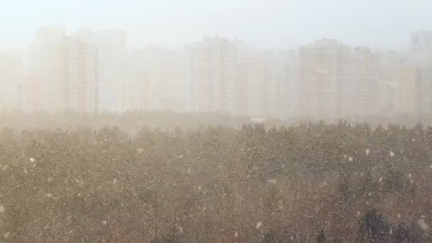 Sneeuwstorm Stad — Stockvideo