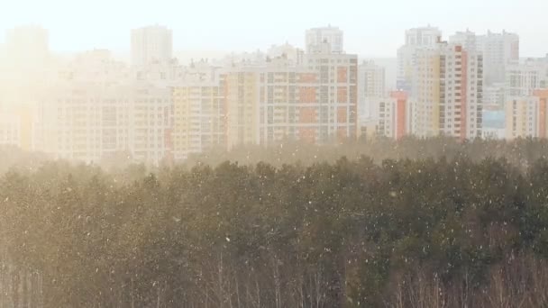 Tormenta Nieve Sobre Ciudad — Vídeo de stock