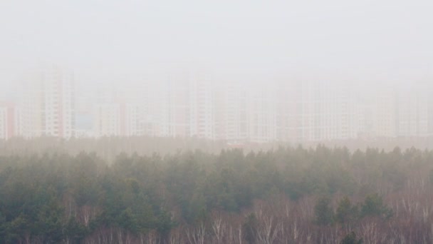 Ομίχλη Πάνω Από Δάσος Και Την Πόλη — Αρχείο Βίντεο
