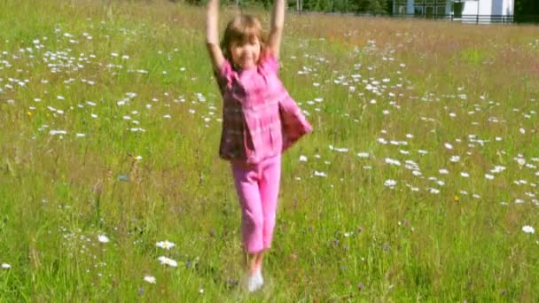 Enfant Sautant Sur Champ Camomille Matin Été — Video