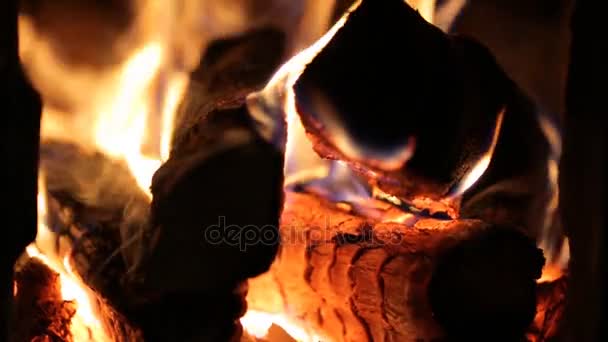 Bois Chauffage Dans Poêle — Video