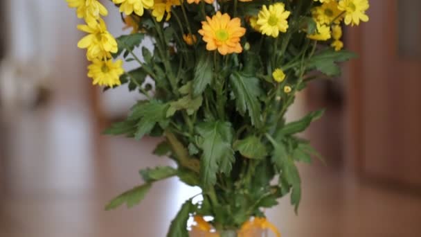女孩的气味和触摸黄色的花朵 — 图库视频影像
