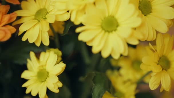 Bunch Yellow Flowers Closeup — Stock Video