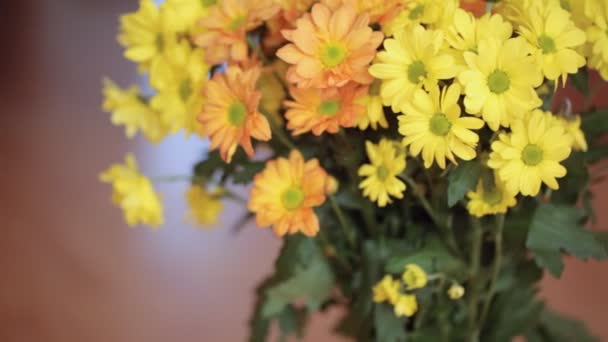 Bunch Yellow Flowers Closeup — Stock Video