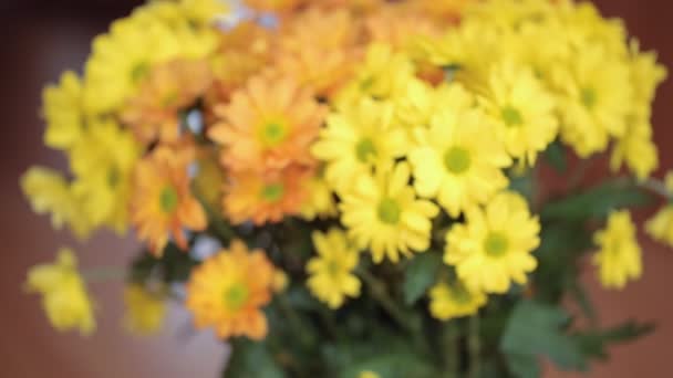 Μάτσο Closeup Κίτρινα Λουλούδια — Αρχείο Βίντεο