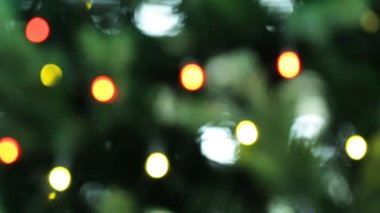 Arka plan olarak Noel ağacı 