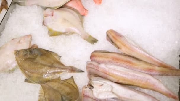 Frischer Fisch Lebensmittelgeschäft — Stockvideo