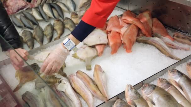 Pescado Fresco Tienda Comestibles — Vídeo de stock