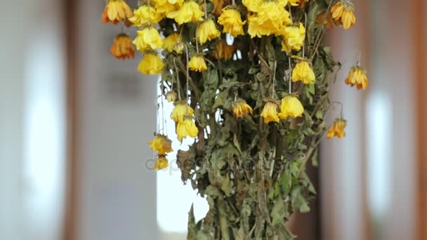 Een Stelletje Verdorde Bloemen — Stockvideo