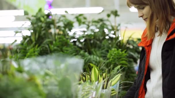 Jonge Vrouw Het Kiezen Van Planten Bij Shop — Stockvideo