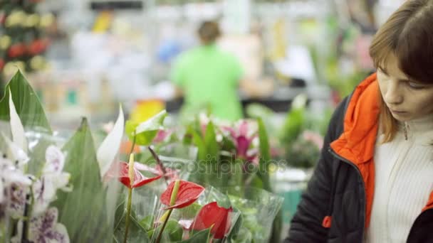 Jovem Está Escolhendo Flores Loja — Vídeo de Stock