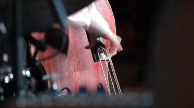 Kontrbas oynamak müzisyen