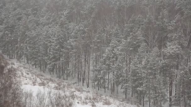 겨울의 눈덮인 — 비디오