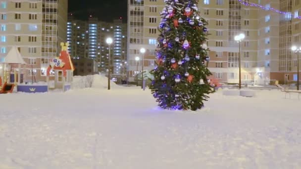 Weihnachtsbaum Freien Mit Dekoration — Stockvideo