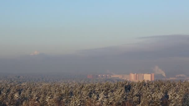 Smog Liegt Über Der Großstadt — Stockvideo