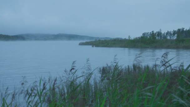 黎明时分在河上雾 — 图库视频影像