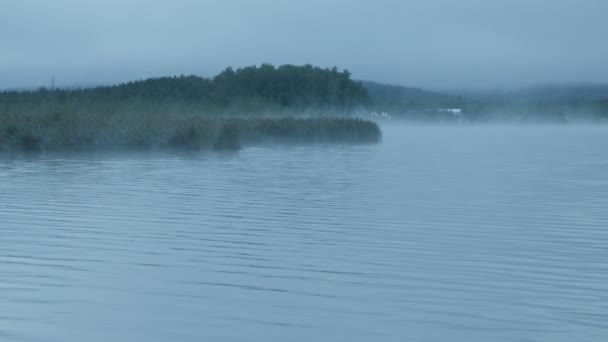 Niebla Sobre Río Amanecer — Vídeo de stock