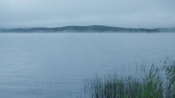 夜明け時に川を覆う霧 — ストック動画
