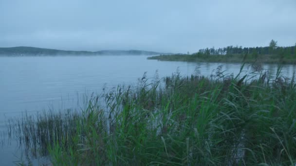 Dimma Över Floden Vid Gryningen Tid — Stockvideo