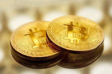 Portre Bitcoin paralar