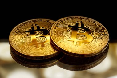 Portre Bitcoin paralar