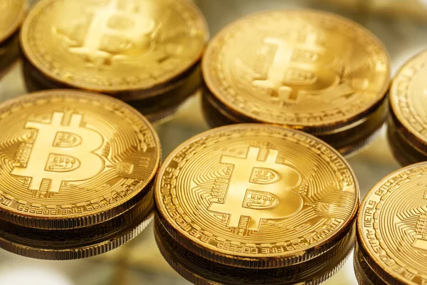 Portre Bitcoin paralar