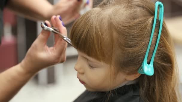 理髪店で小さな女の子 — ストック動画